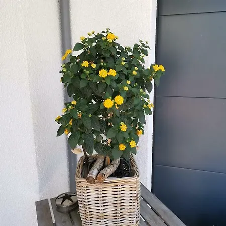 Ferienwohnung Nahe Marina Runthe Bergkamen